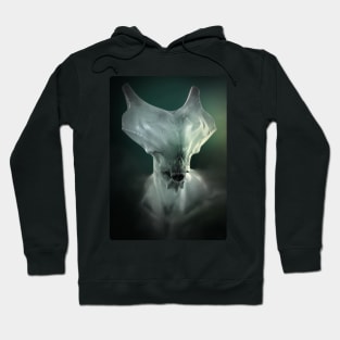 Demon in Shadow Hoodie